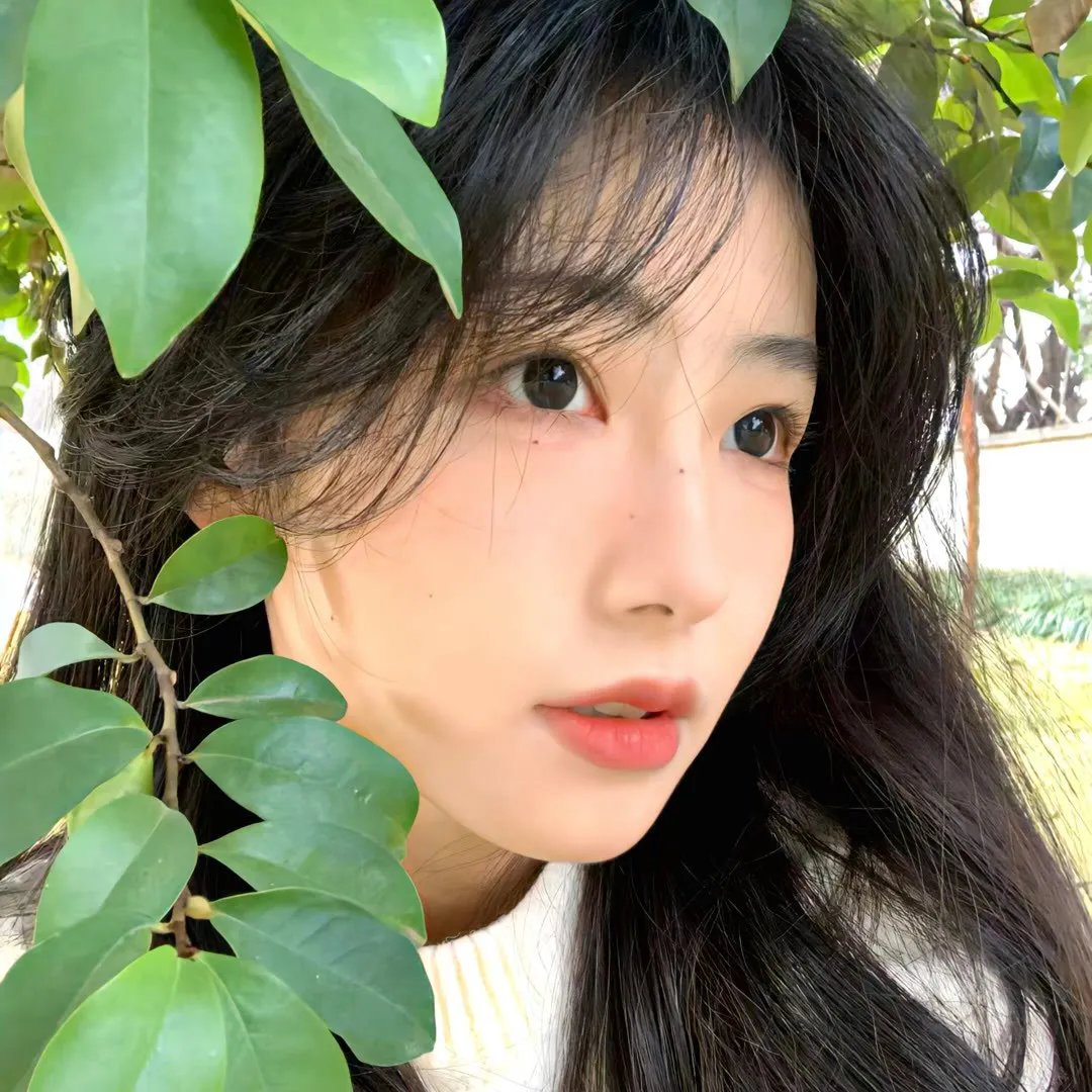 雾中来客