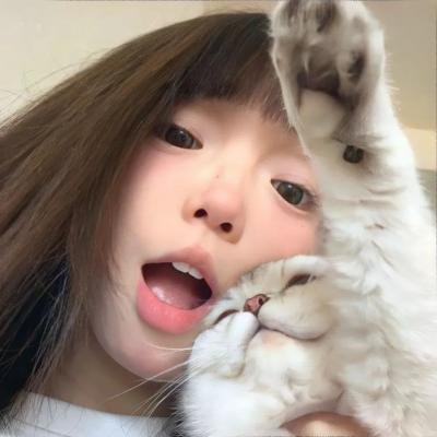 双生赤狐